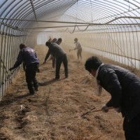 150214　ネット職員産地訪問 002